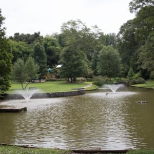 Springvale Park – Hiking Atlanta's Hidden Forests